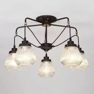 Потолочная люстра EUROSVET 70078/5 черный