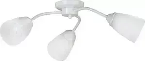 Потолочная люстра Vitaluce V3258/3PL