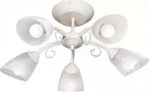 Потолочная люстра Vitaluce V3739-0/5PL