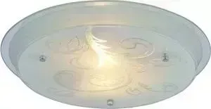 Потолочный светильник ARTELAMP A4865PL-2CC