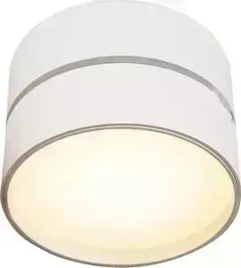 Спот Maytoni C024CL-L18W
