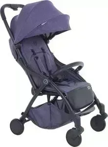 Коляска прогулочная Pituso SMART PURPLE лавандовый лен B19