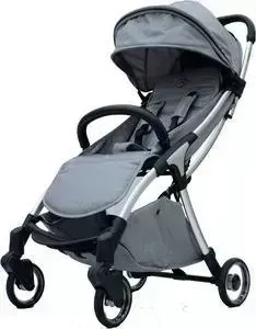 Коляска прогулочная RYAN PRIME Light Shiny Grey