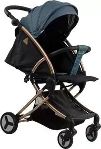 Коляска прогулочная Farfello Aimile Summer Gold сине-чёрный FPG-7