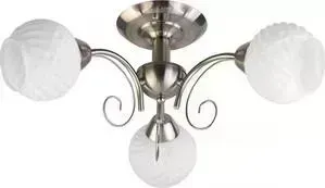 Потолочная люстра Toplight TL3560X-03SN