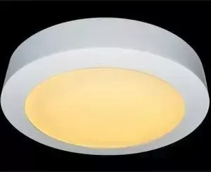 Потолочный светильник ARTELAMP A3018PL-1WH