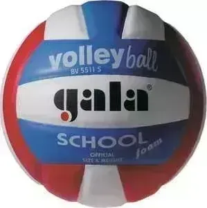 Мяч волейбольный Gala School Foam Colour (BV5511S), размер 5, цвет бел.-красн-син.