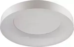 Потолочный светодиодный светильник ODEON 4062/80CL