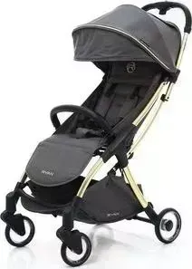 Коляска прогулочная RYAN PRIME Light Rich Gray GOLD Special Edition
