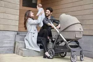 Коляска 2 в 1 INGLESINA 2 в 1 Aptica System Duo на шасси Aptica Black Coffee AA72K0CMB + AE70K0001