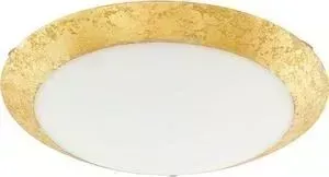 Потолочный светодиодный светильник EGLO 98023