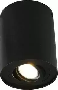 Потолочный светильник ARTELAMP A5644PL-1BK