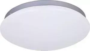 Потолочный светодиодный светильник F-Promo 2467-2C