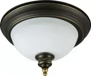 Потолочный светильник ARTELAMP A9518PL-2BA