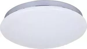 Потолочный светодиодный светильник F-Promo 2464-2C