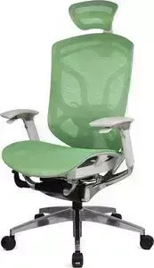 Кресло офисное GTChair DV-10E GT-23 dvary (polished, grey frame, S3) green