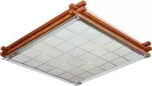 Потолочный светильник Omnilux OML-40527-05