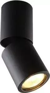 Спот Divinare 1800/04 PL-1