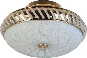 Потолочный светильник Toplight TL1480Y-03GC