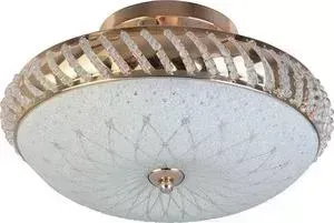 Потолочный светильник Toplight TL1490Y-03GC