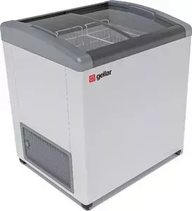 Ларь морозильный Frostor-Gellar FG 250 E серый