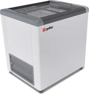 Ларь морозильный Frostor-Gellar FG 200 С серый