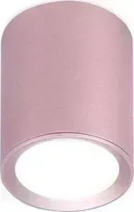 Потолочный светильник Ambrella light TN217