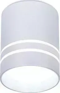 Потолочный светодиодный светильник Ambrella light TN241