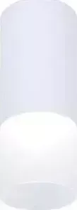 Потолочный светодиодный светильник Ambrella light TN230