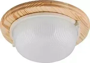 Настенно-потолочный светильник FERON НБО 0360011 11569