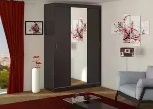 Шкаф-купе МегаЭлатон Афина 3D-1, венге
