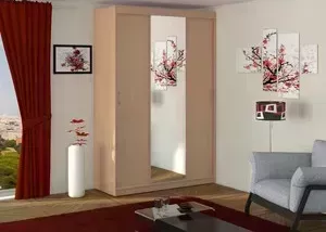 Шкаф-купе МегаЭлатон Афина 3D-1, бук