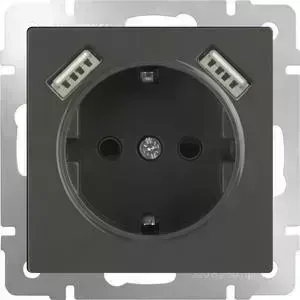 Розетка с заземлением, шторками и USBx2 Werkel серо-коричневая WL07-SKGS-USBx2-IP20