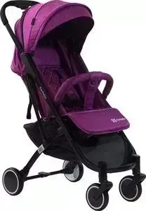 Коляска прогулочная Farfello Easy Travel фуксия D100 PLUS D100 PLUS/6
