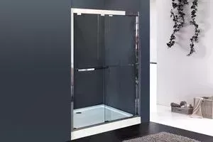 Душевая дверь Royal Bath Душевое ограждение RB-F-2011-1600