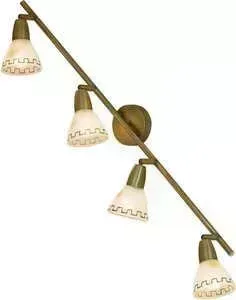 Спот Citilux CL507543