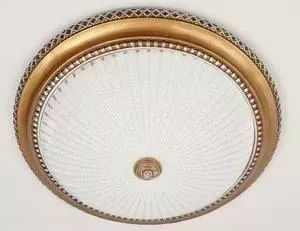 Потолочный светильник Citilux CL425502