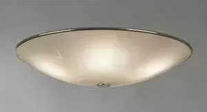 Потолочный светильник Citilux CL911503