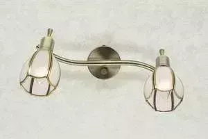 Спот Citilux CL522621
