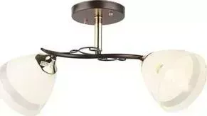 Люстра Imex потолочная MD.3202-2-S BK+FGD 2*60Вт Е27