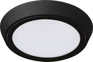 Потолочный светодиодный светильник Lightstar 216974