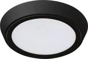 Потолочный светодиодный светильник Lightstar 216972