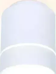 Потолочный светодиодный светильник Ambrella light TN256