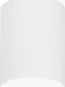 Потолочный светодиодный светильник Ambrella light TN231