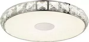 Потолочный светодиодный светильник ST-Luce SL821.122.01