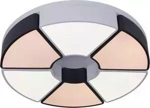 Потолочный светодиодный светильник ARTELAMP A8083PL-6WH