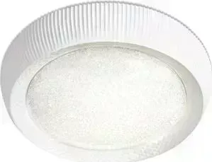 Потолочный светодиодный светильник Ambrella light FS1240 WH/SD 48W D500