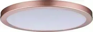 Потолочный светодиодный светильник Paulmann 70872