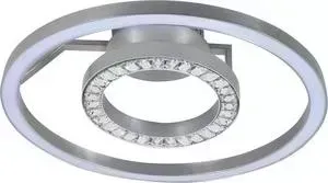 Потолочный светодиодный светильник Favourite 2593-2U