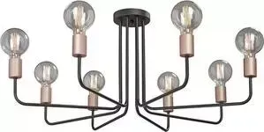 Потолочная люстра Vitaluce V4525-1/8PL